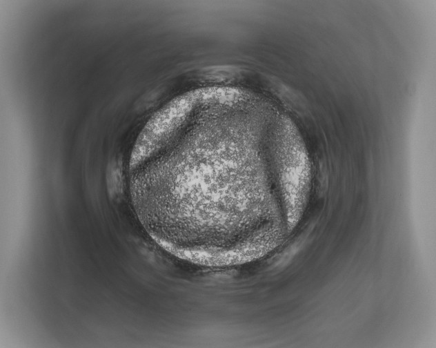 X0000111471394200908031350