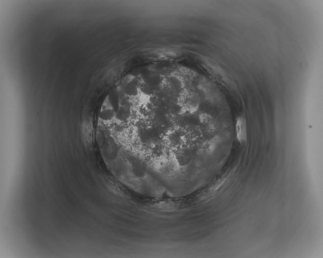 X0000111471395200908031350