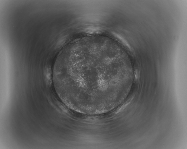 X0000111471396200908031350