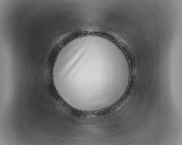 X0000111471398200908031350