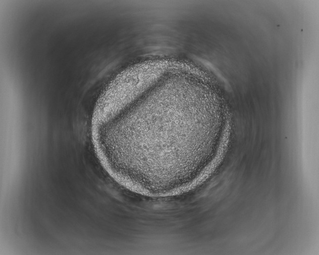 X0000111471399200908031350