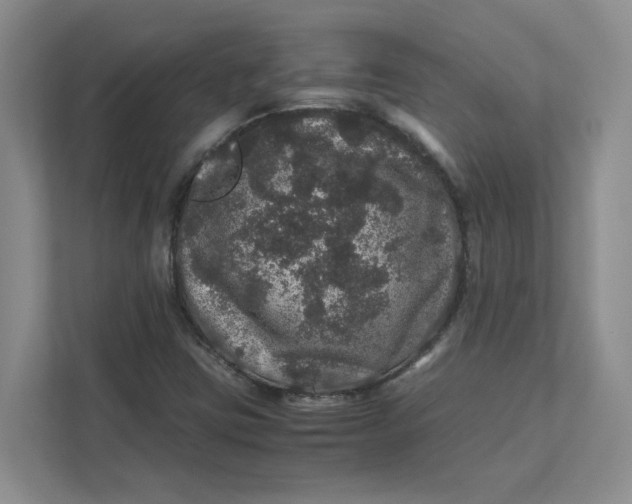 X0000111471403200908031350