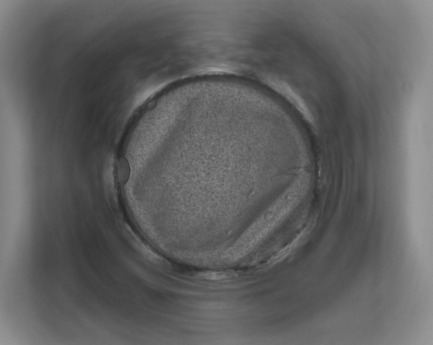 X0000111471404200908031350