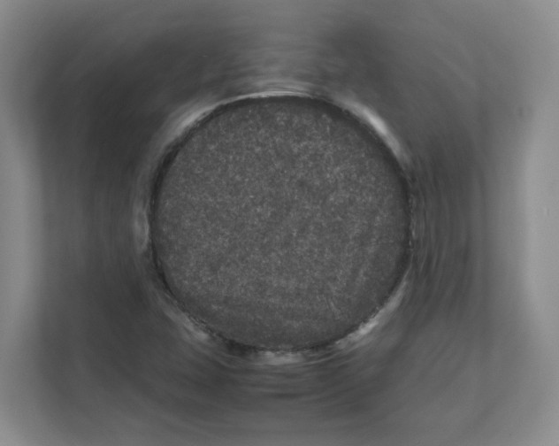 X0000111471407200908031350