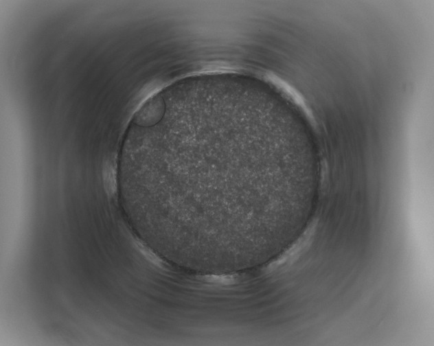 X0000111471409200908031350