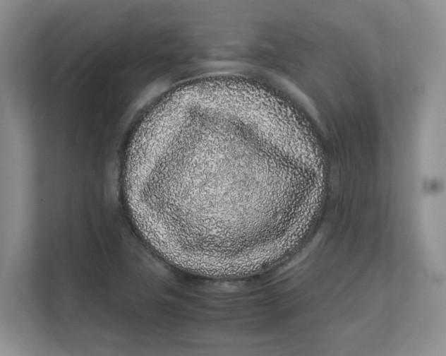 X0000111471411200908031350