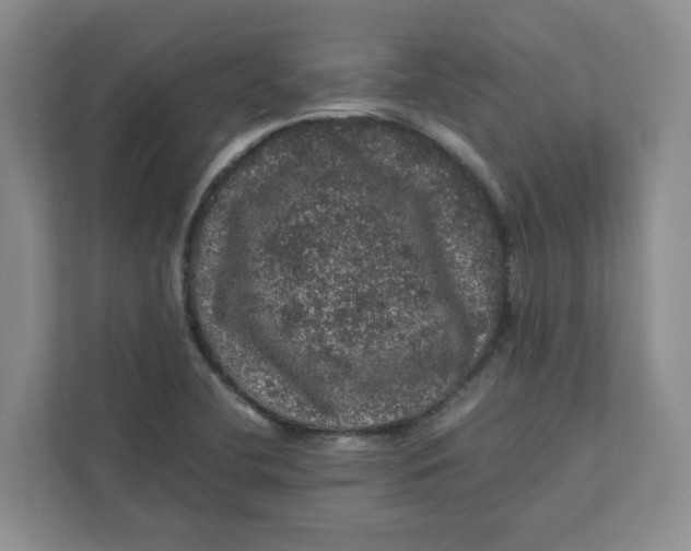 X0000111471412200908031350