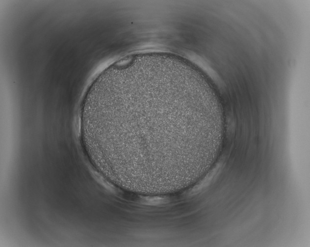 X0000111471413200908031350