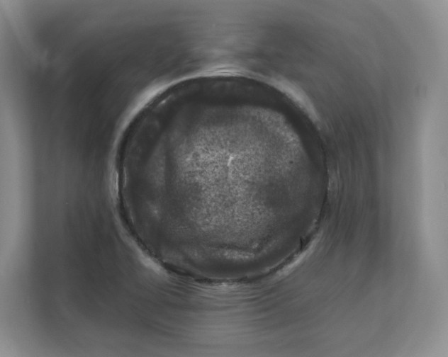 X0000111471414200908031350