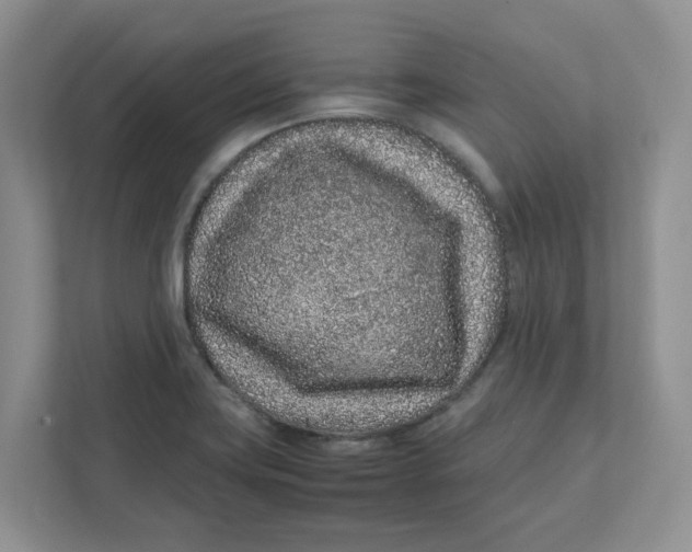 X0000111471419200908031351