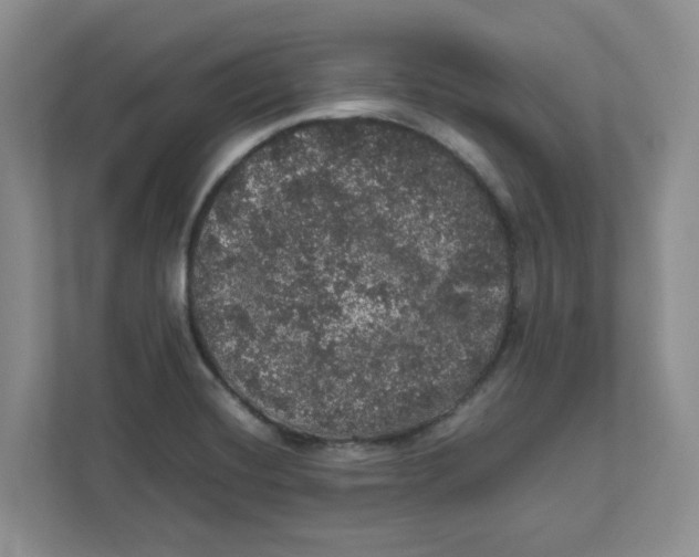 X0000111471420200908031351