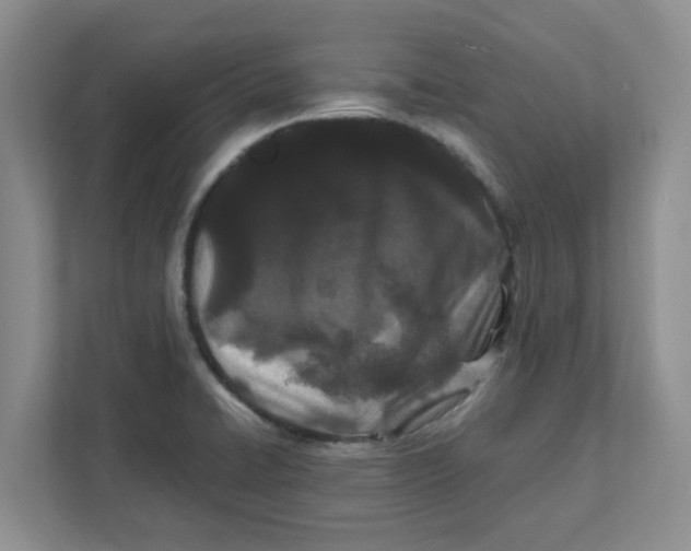 X0000111471422200908031351