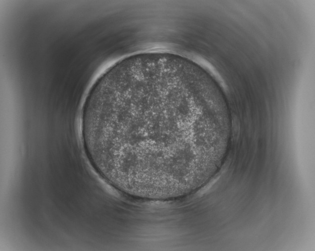 X0000111471424200908031351