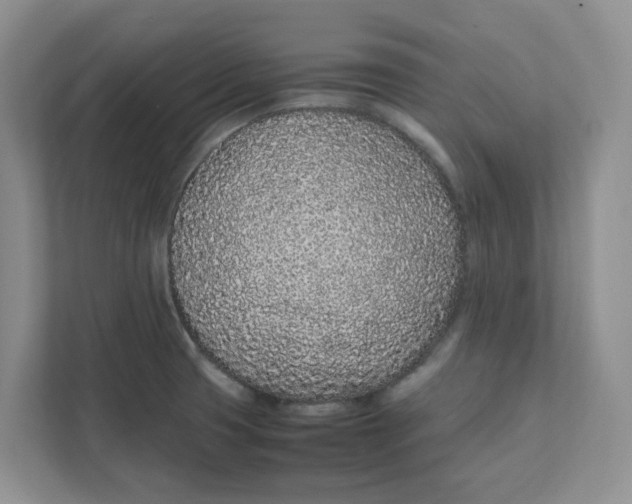 X0000111471425200908031351