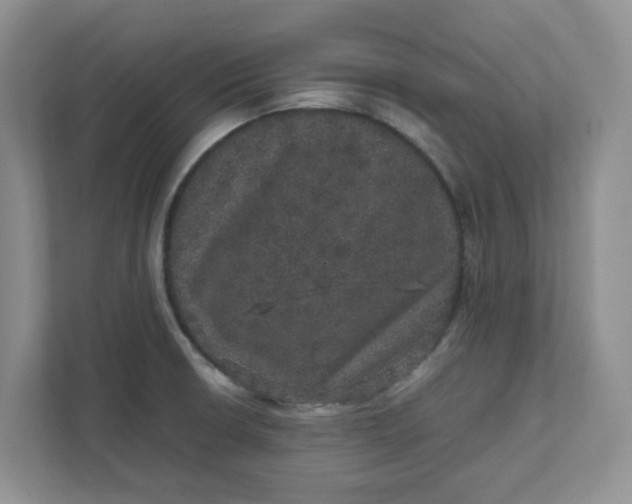 X0000111471426200908031351