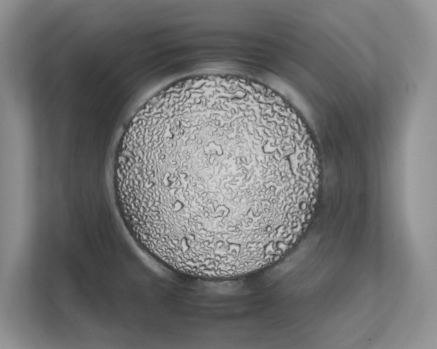 X0000111471429200908031351