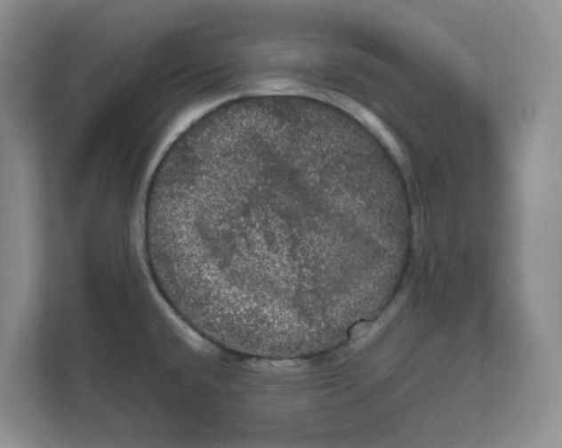 X0000111471432200908031351