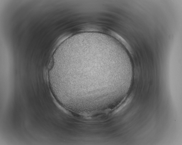 X0000111471433200908031351