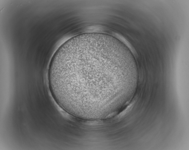 X0000111471434200908031351