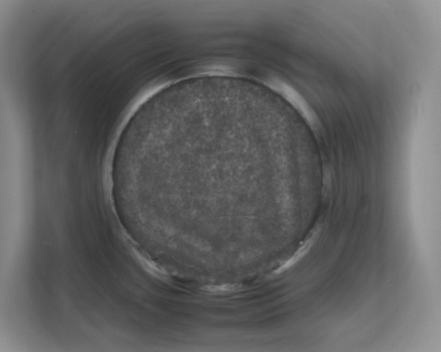 X0000111471435200908031351