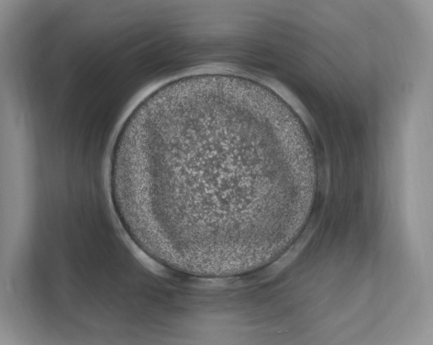 X0000111471438200908031351