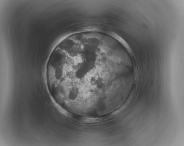 X0000111471439200908031351