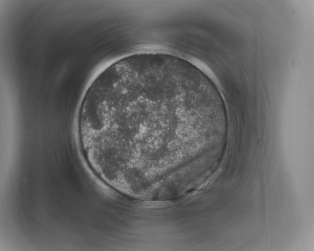 X0000111471440200908031351