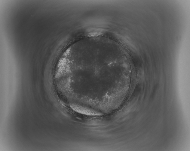 X0000111471441200908031350