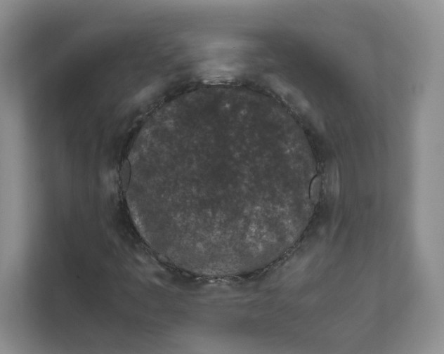 X0000111471445200908031350