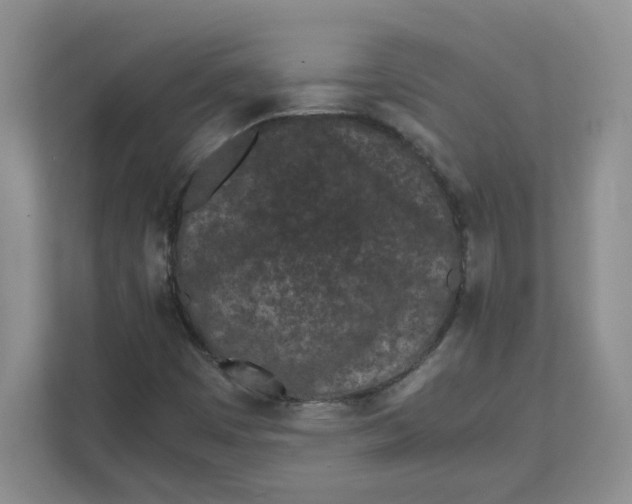 X0000111471449200908031350