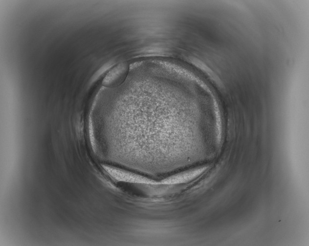 X0000111471450200908031350