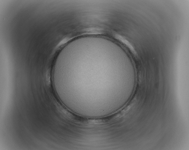 X0000111471451200908031350