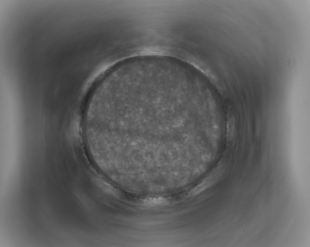 X0000111471454200908031350