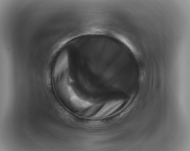 X0000111471455200908031350