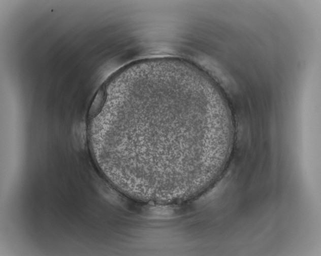 X0000111471457200908031350