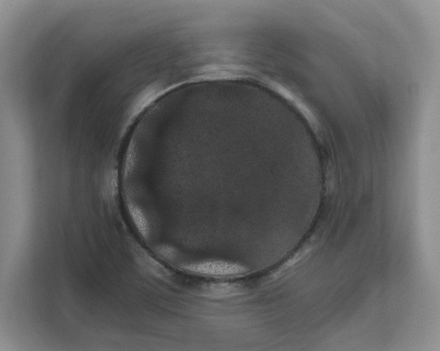 X0000111471459200908031350