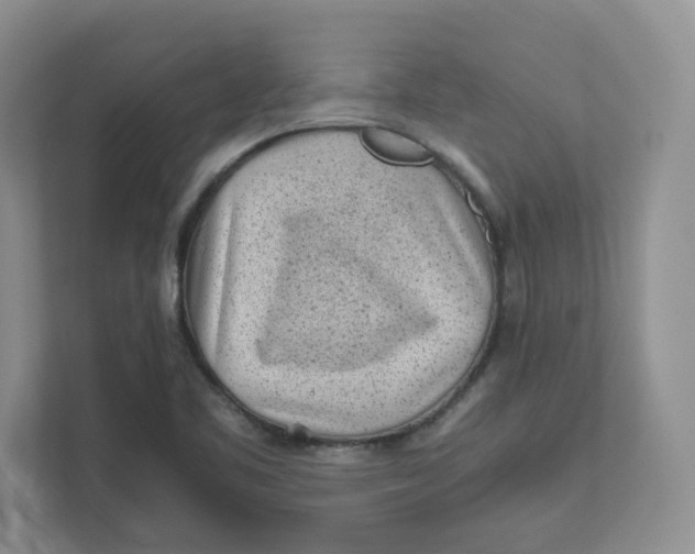 X0000111471461200908031350