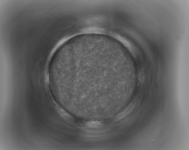 X0000111471462200908031350