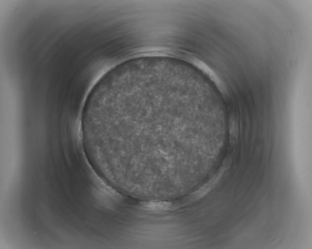 X0000111471466200908031350