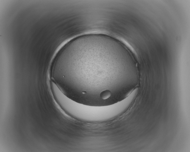 X0000111471468200908031350