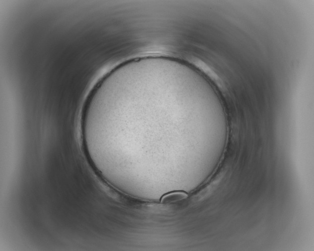 X0000111471469200908031350