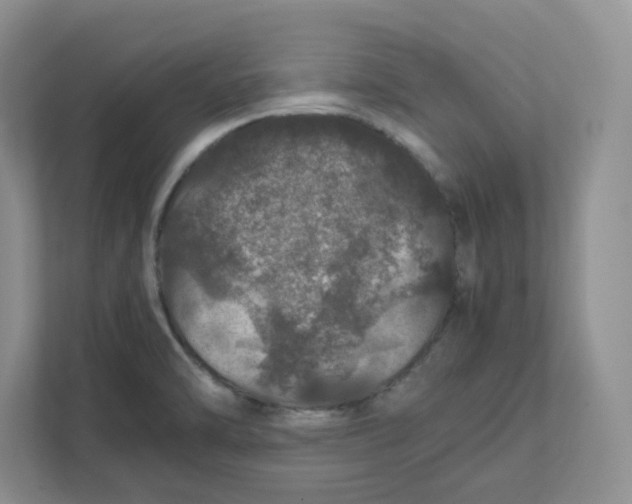 X0000111471470200908031350