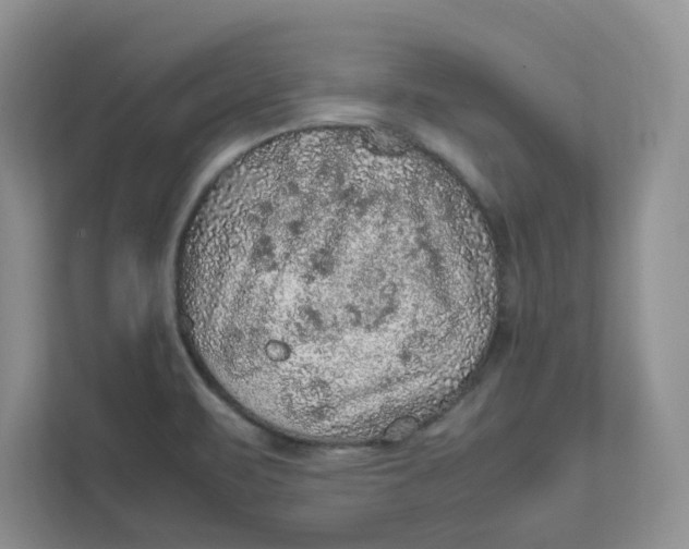 X0000111471471200908031350