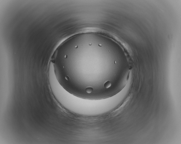 X0000111471473200908031350