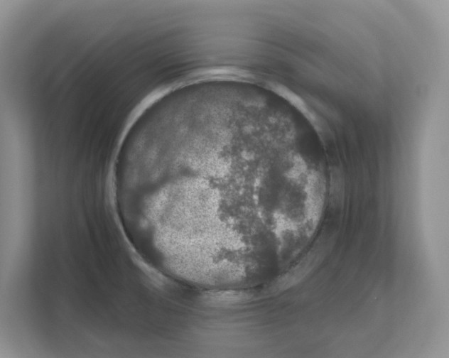 X0000111471474200908031350