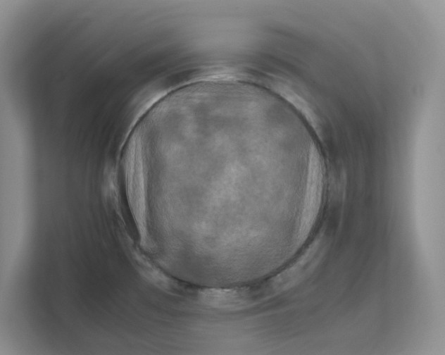 X0000111471481200908031350