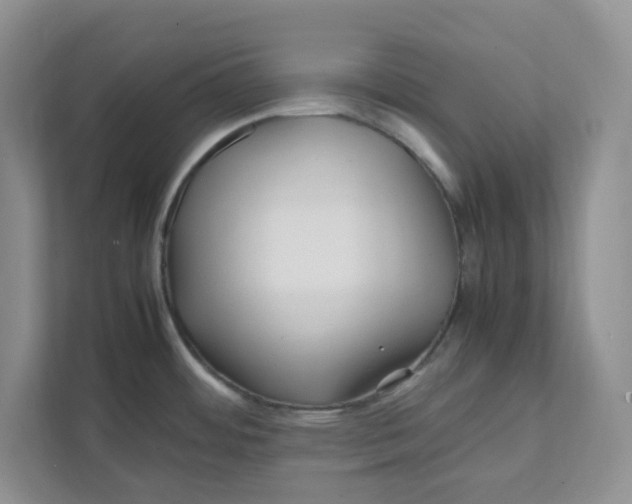 X0000111471484200908031350