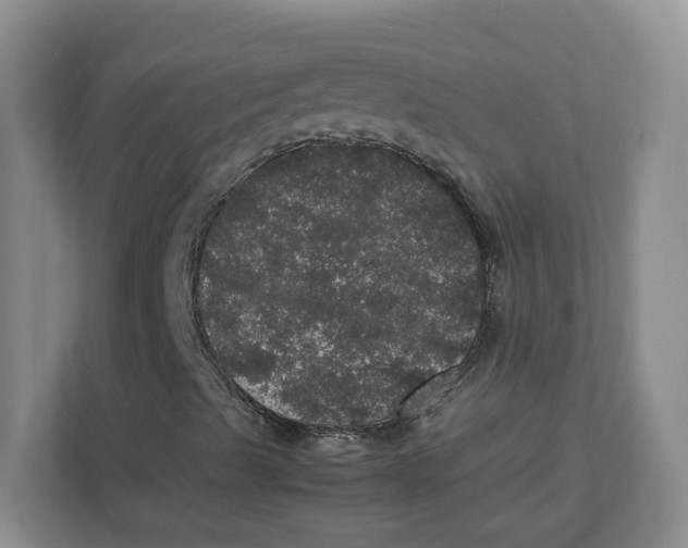 X0000111471489200908031349