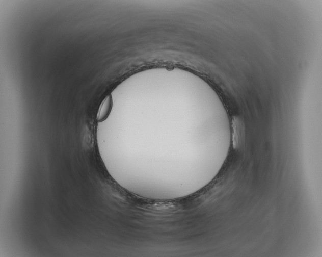 X0000111471491200908031349