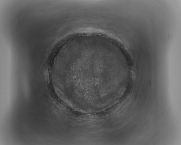 X0000111471493200908031349